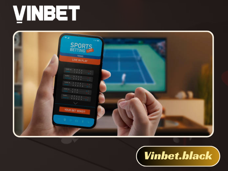 vinbet app